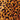 Color sample of 231W1607Q42_S