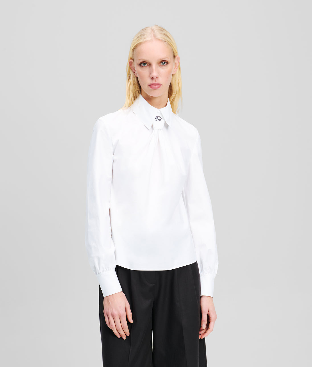 A2W11004100_1