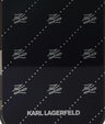 CG250045999_2