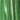 Color sample of CW230085655_S