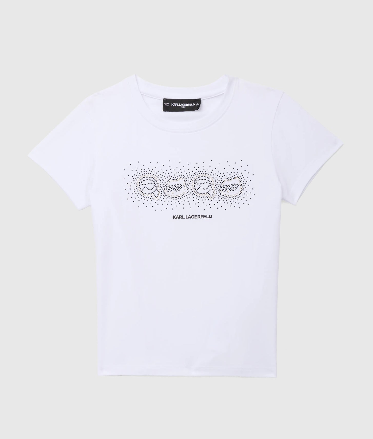 CW260016100_1