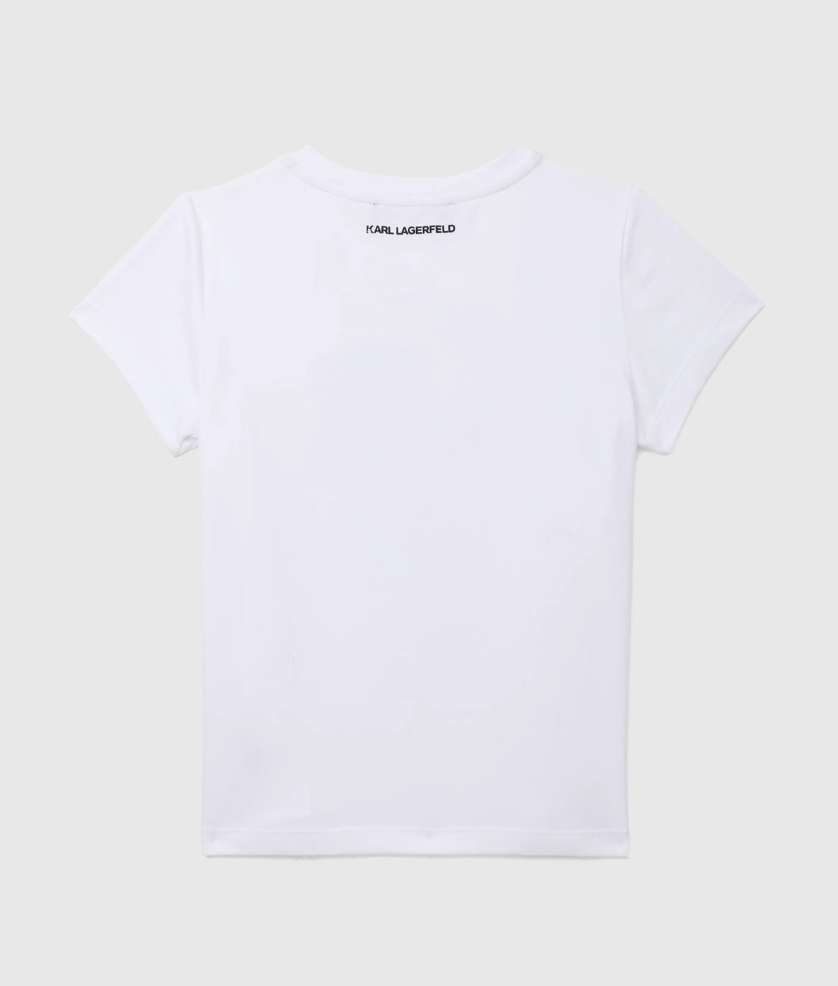 CW260016100_3