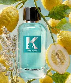 KL016A04900_7